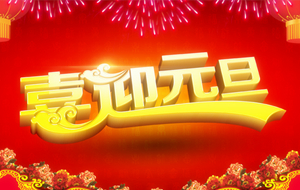 Lɳ섓ĩg޹˾2015Ԫż֪ͨ